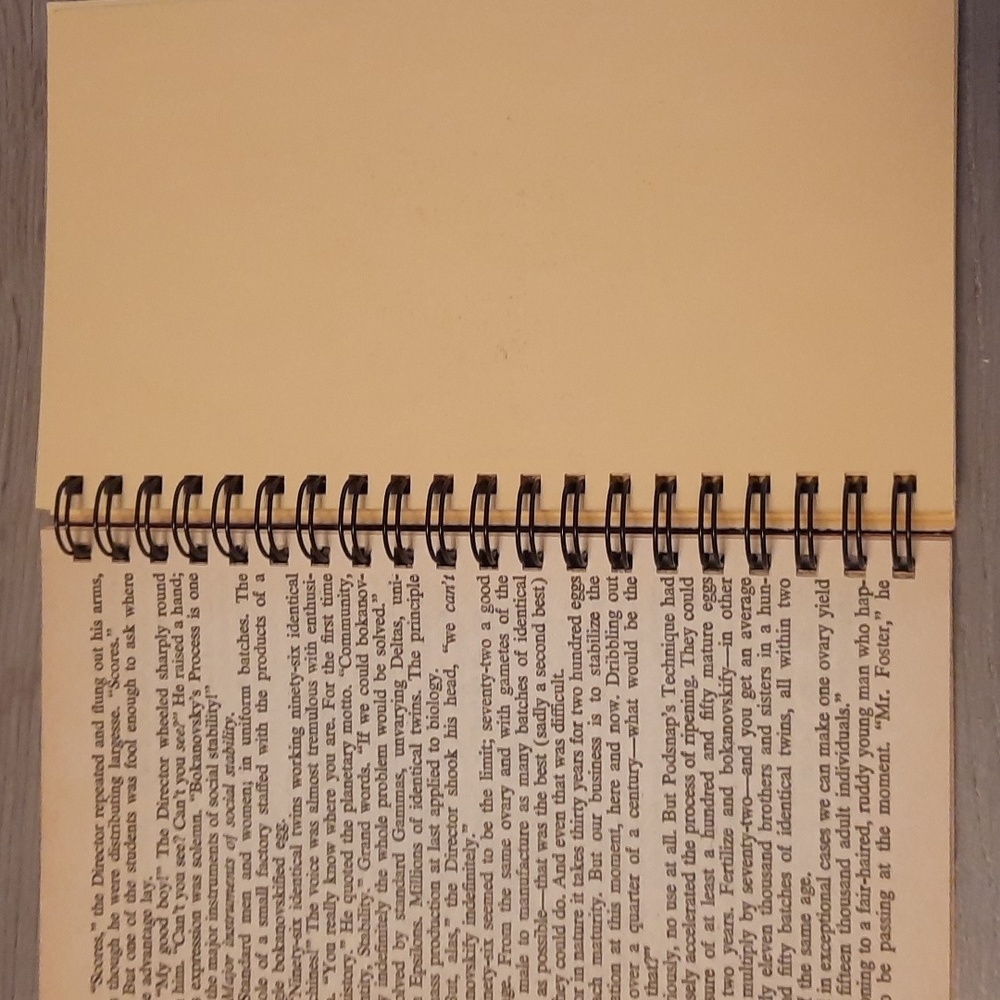 Secret Journal "Brave New World" - Picture 2 of 6